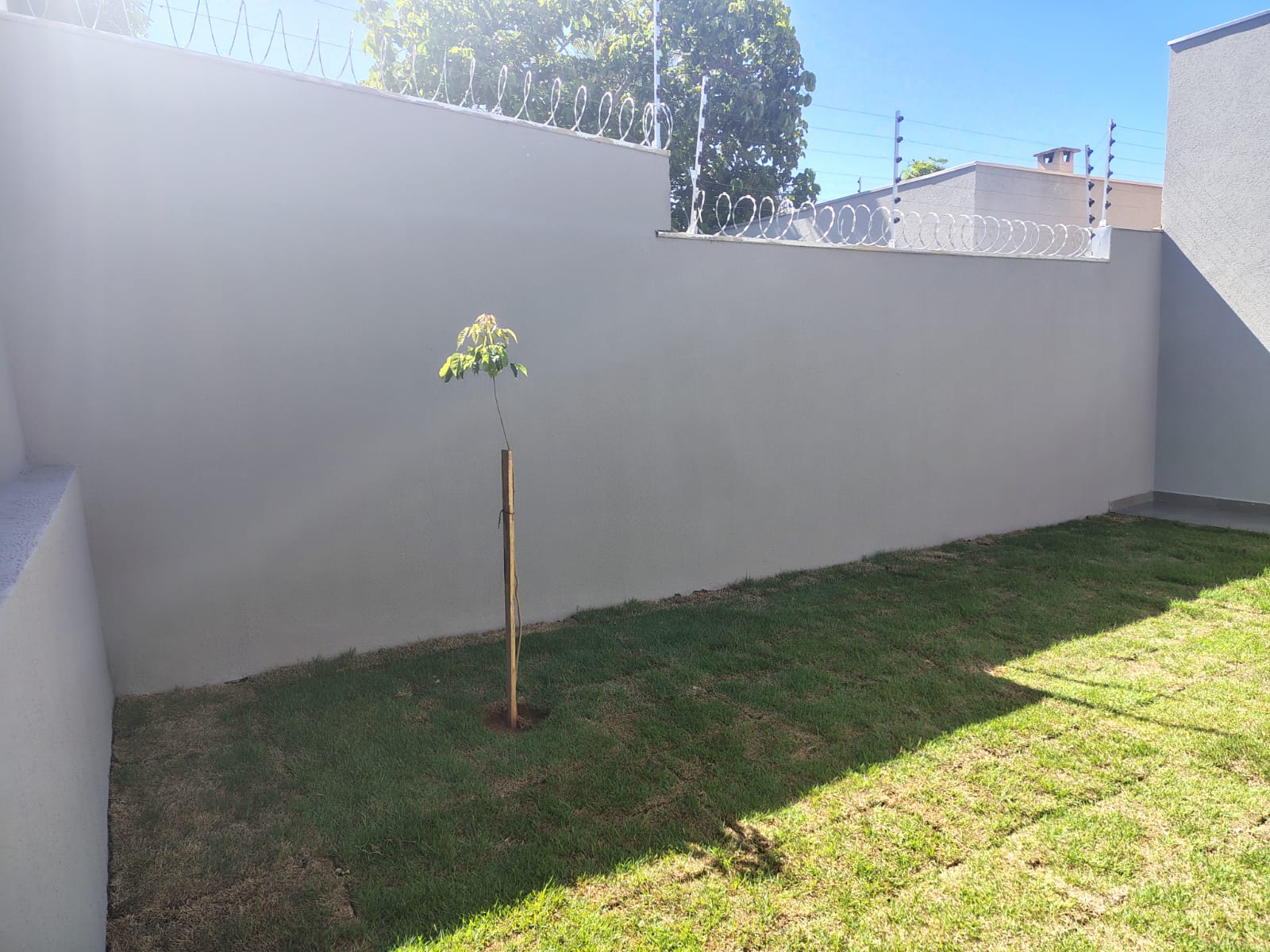 IMG-20260622-WA0021